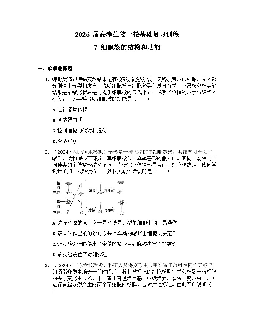 2026届高考生物一轮基础复习训练7 细胞核的结构和功能第1页