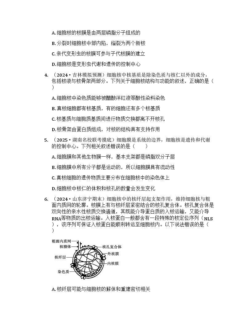 2026届高考生物一轮基础复习训练7 细胞核的结构和功能第2页