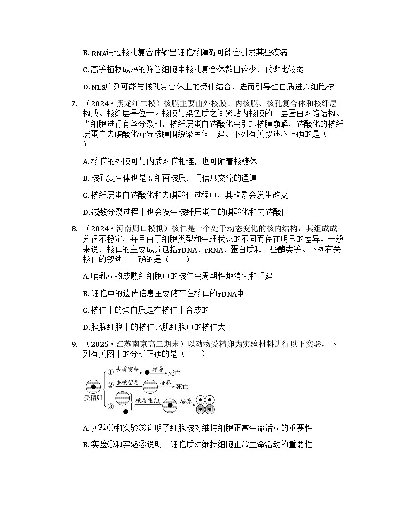 2026届高考生物一轮基础复习训练7 细胞核的结构和功能第3页