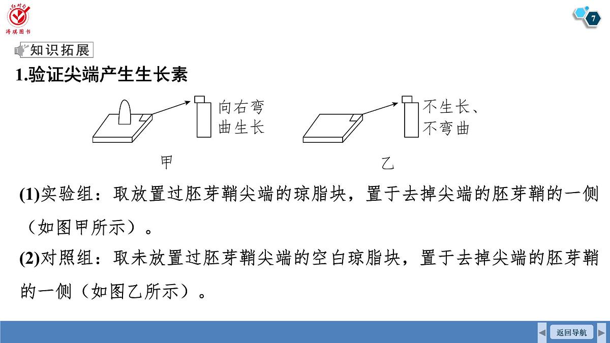 高考生物【一轮复习】课件 第八单元 微专题九 植物激素的相关实验探究第7页