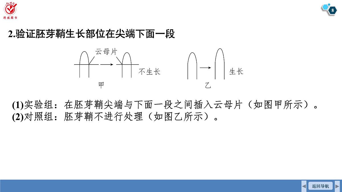 高考生物【一轮复习】课件 第八单元 微专题九 植物激素的相关实验探究第8页