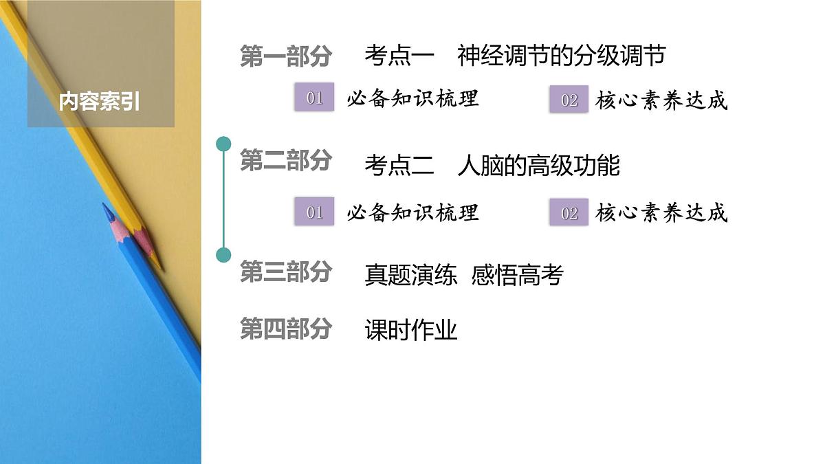 高考生物【一轮复习】课件 第八单元 第36课时 神经系统的分级调节和人脑的高级功能第2页