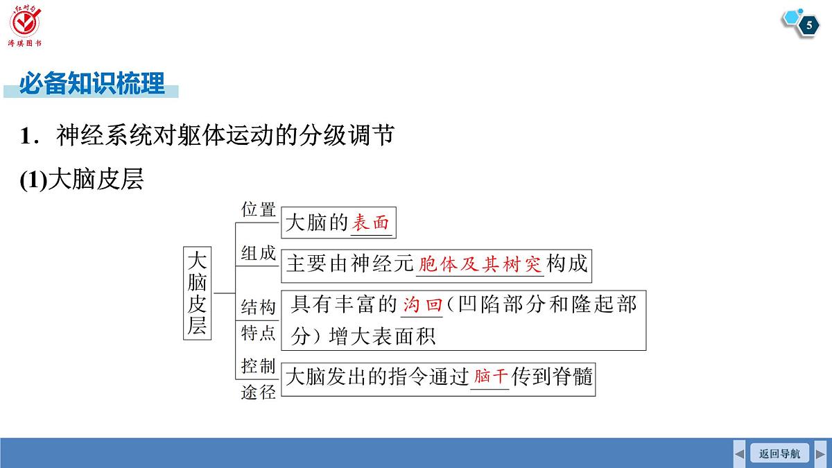 高考生物【一轮复习】课件 第八单元 第36课时 神经系统的分级调节和人脑的高级功能第5页