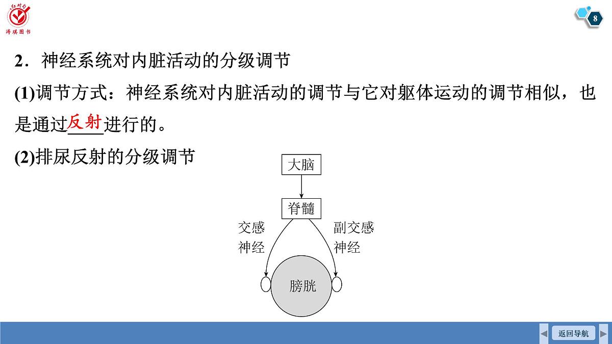 高考生物【一轮复习】课件 第八单元 第36课时 神经系统的分级调节和人脑的高级功能第8页