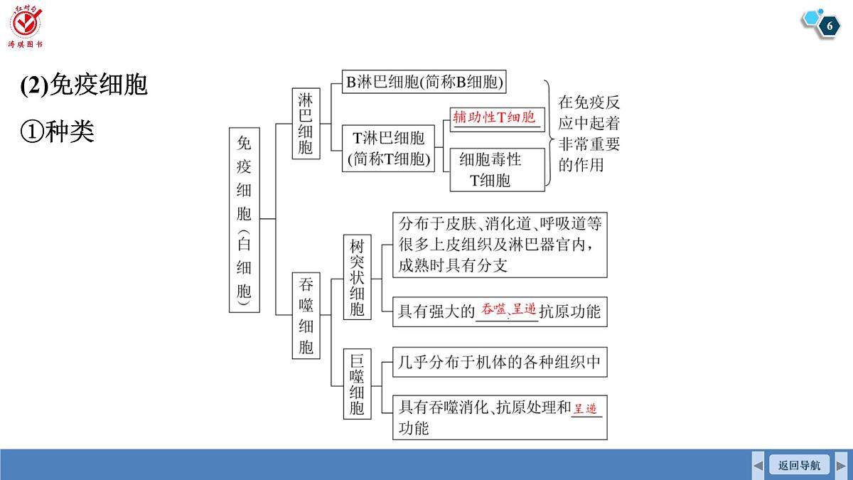 高考生物【一轮复习】课件 第八单元 第39课时 免疫系统的组成和功能、特异性免疫第6页