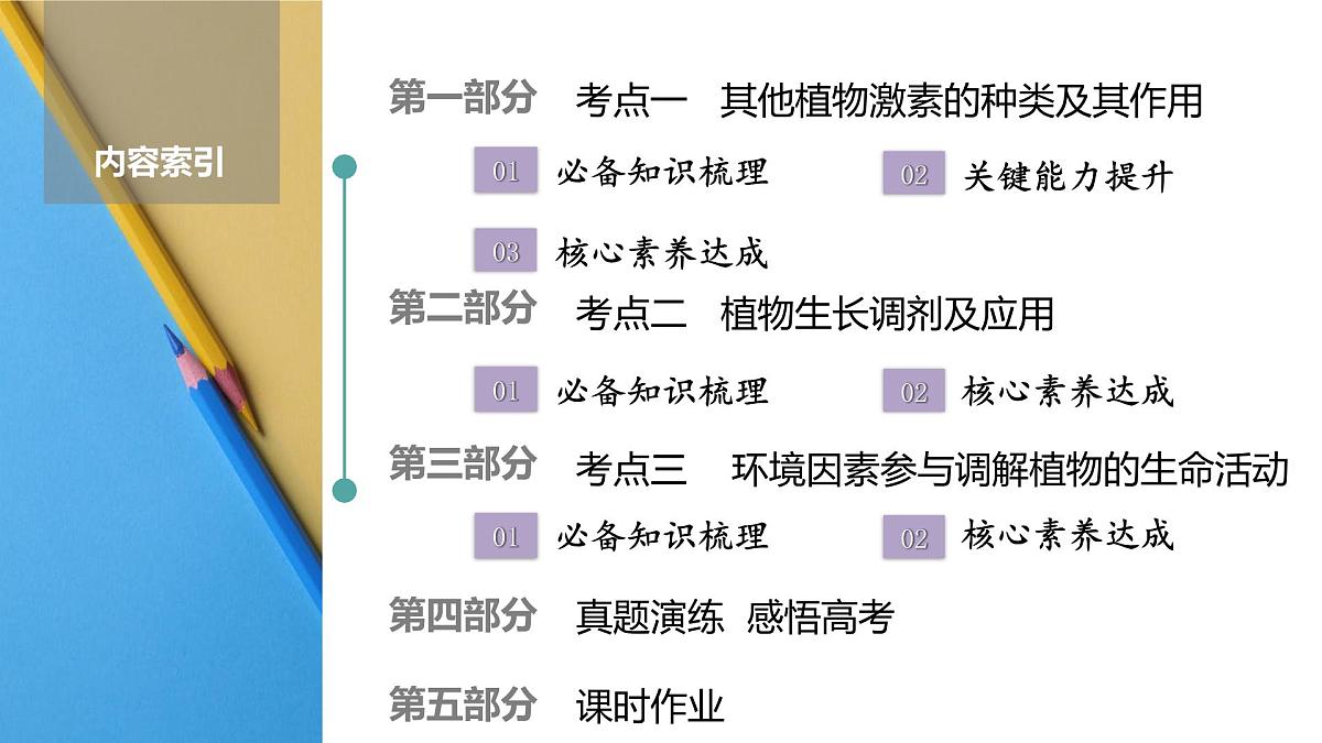 高考生物【一轮复习】课件 第八单元 第42课时 其他植物激素、植物生长调节剂的应用及环境因素参与调节植物的生命活动第2页