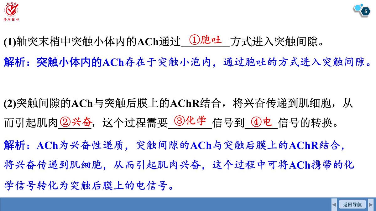高考生物【一轮复习】课件 第八单元 长句表达(三)个体稳态与调节的相关物质变化及机理分析第5页