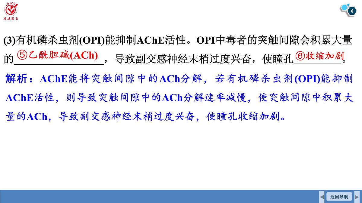高考生物【一轮复习】课件 第八单元 长句表达(三)个体稳态与调节的相关物质变化及机理分析第6页