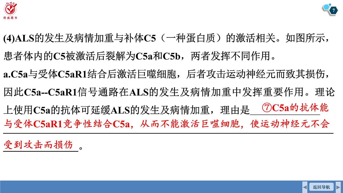 高考生物【一轮复习】课件 第八单元 长句表达(三)个体稳态与调节的相关物质变化及机理分析第7页
