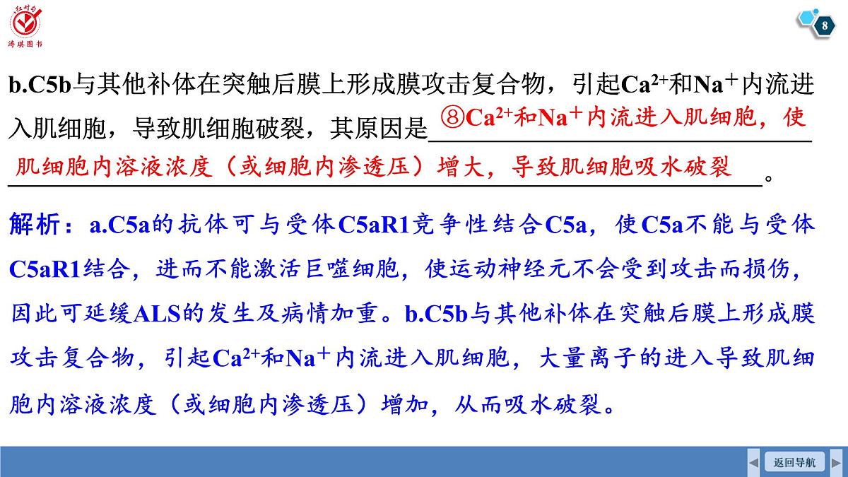 高考生物【一轮复习】课件 第八单元 长句表达(三)个体稳态与调节的相关物质变化及机理分析第8页