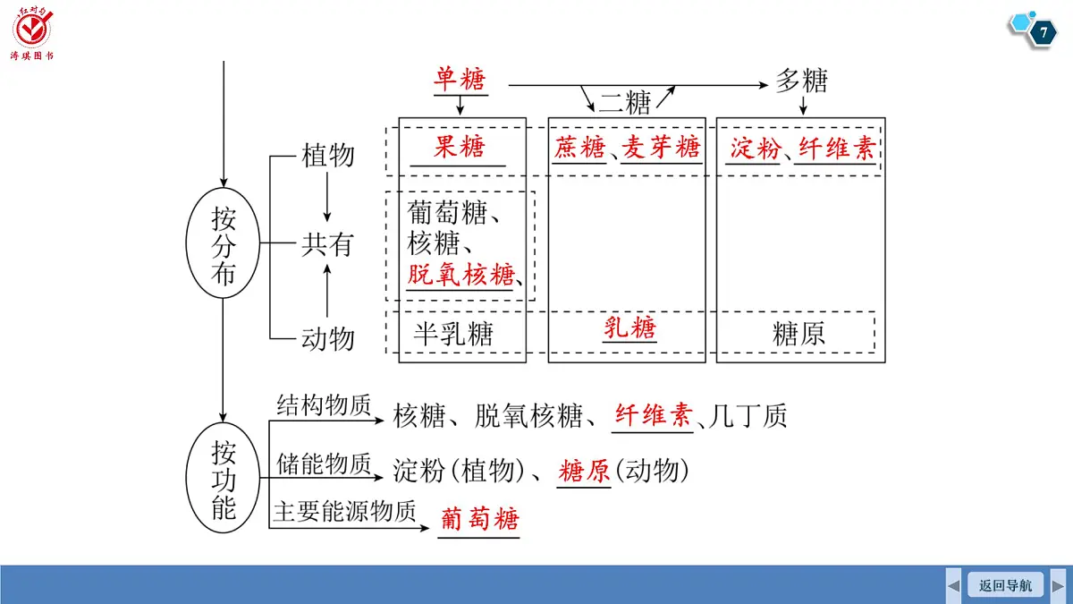 高考生物【一轮复习】课件 第一单元 第三课时 细胞中的糖类和脂质第7页