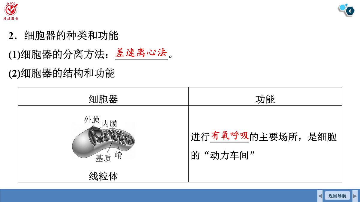 高考生物【一轮复习】课件 第二单元 第七课时 细胞器之间的分工第6页