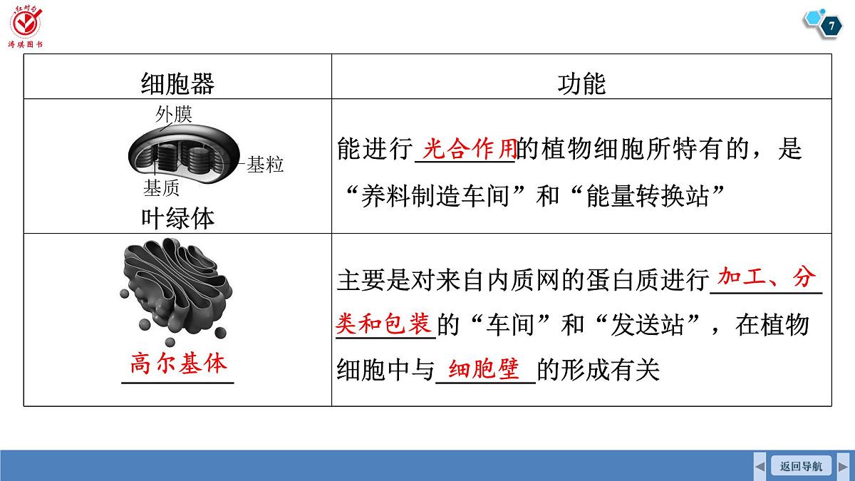 高考生物【一轮复习】课件 第二单元 第七课时 细胞器之间的分工第7页