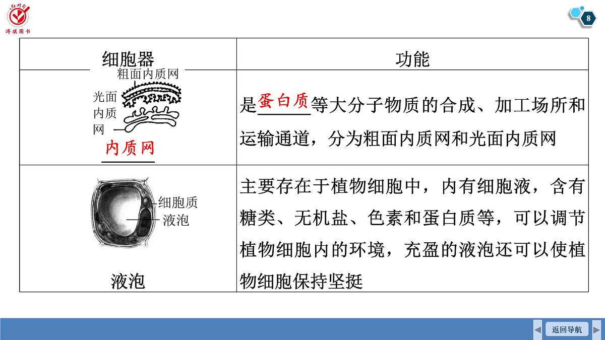 高考生物【一轮复习】课件 第二单元 第七课时 细胞器之间的分工第8页