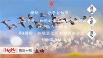 高考生物【一轮复习】课件　第二单元　第八课时　细胞器之间的协调配合及生物膜系统