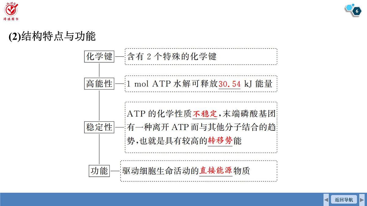 高考生物【一轮复习】课件 第三单元 第一十二课时 细胞的能量“货币”ATP第6页