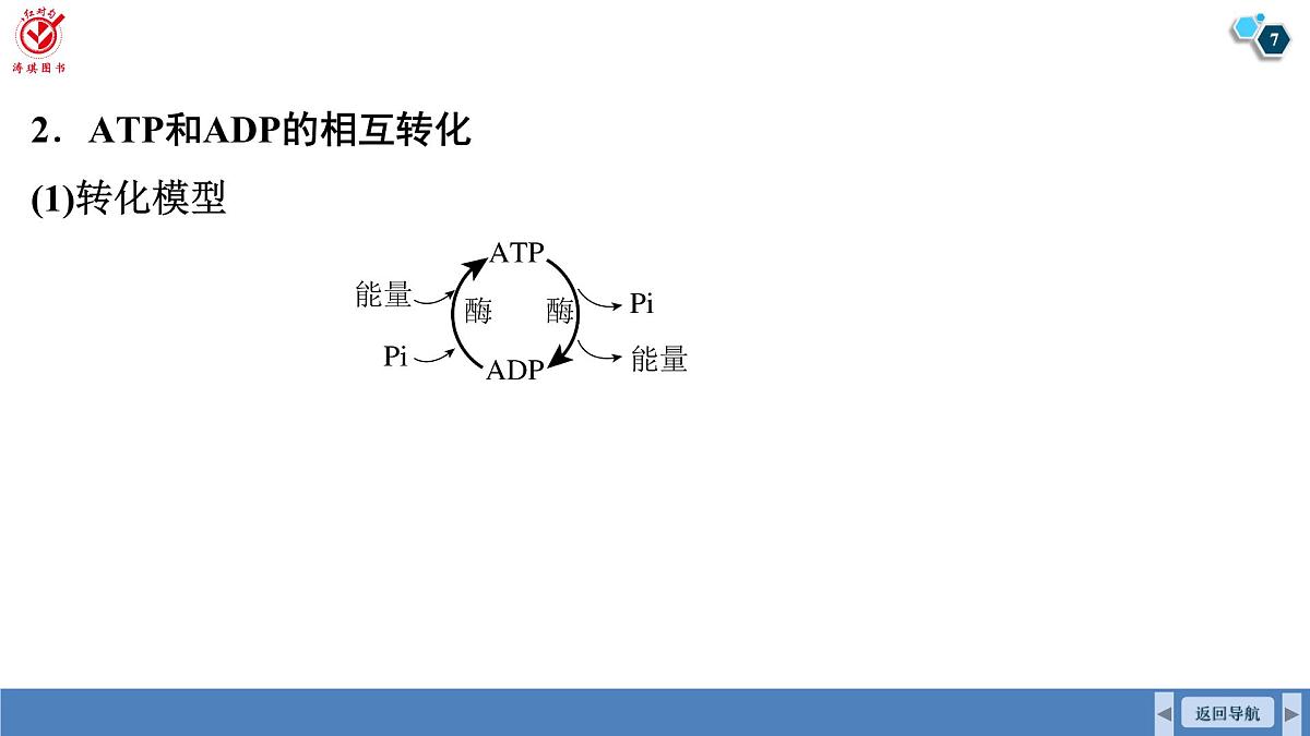 高考生物【一轮复习】课件 第三单元 第一十二课时 细胞的能量“货币”ATP第7页