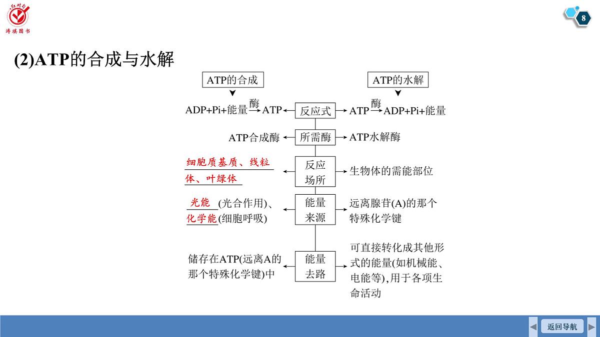 高考生物【一轮复习】课件 第三单元 第一十二课时 细胞的能量“货币”ATP第8页