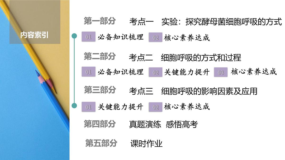 高考生物【一轮复习】课件 第三单元 第一十三课时 细胞呼吸的原理及应用第2页