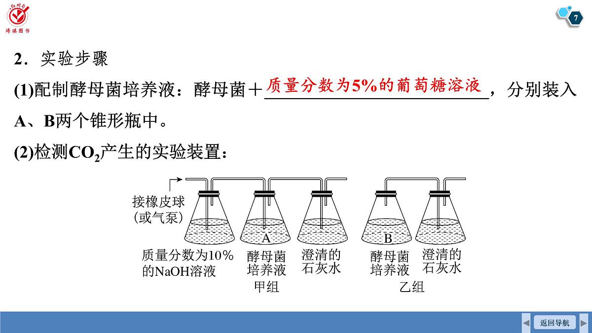 高考生物【一轮复习】课件 第三单元 第一十三课时 细胞呼吸的原理及应用第7页
