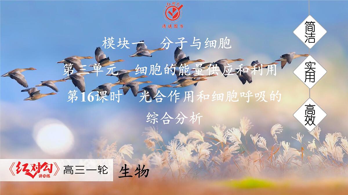 高考生物【一轮复习】课件 第三单元 第一十六课时 光合作用和细胞呼吸的综合分析第1页