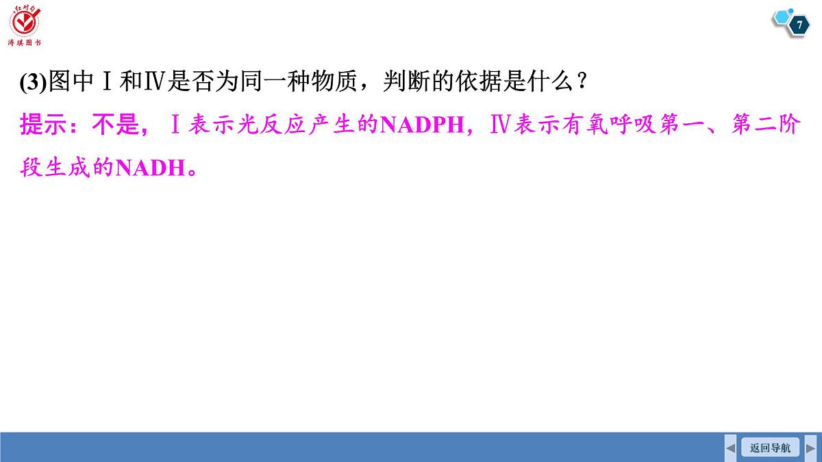 高考生物【一轮复习】课件 第三单元 第一十六课时 光合作用和细胞呼吸的综合分析第7页