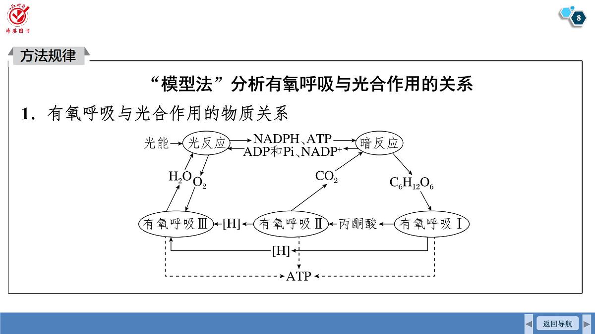 高考生物【一轮复习】课件 第三单元 第一十六课时 光合作用和细胞呼吸的综合分析第8页