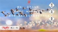 高考生物【一轮复习】课件 第四单元 微专题二 减数分裂与可遗传变异的关系