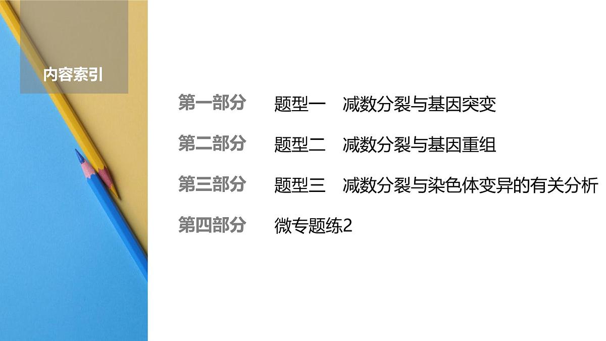 高考生物【一轮复习】课件 第四单元 微专题二 减数分裂与可遗传变异的关系第2页