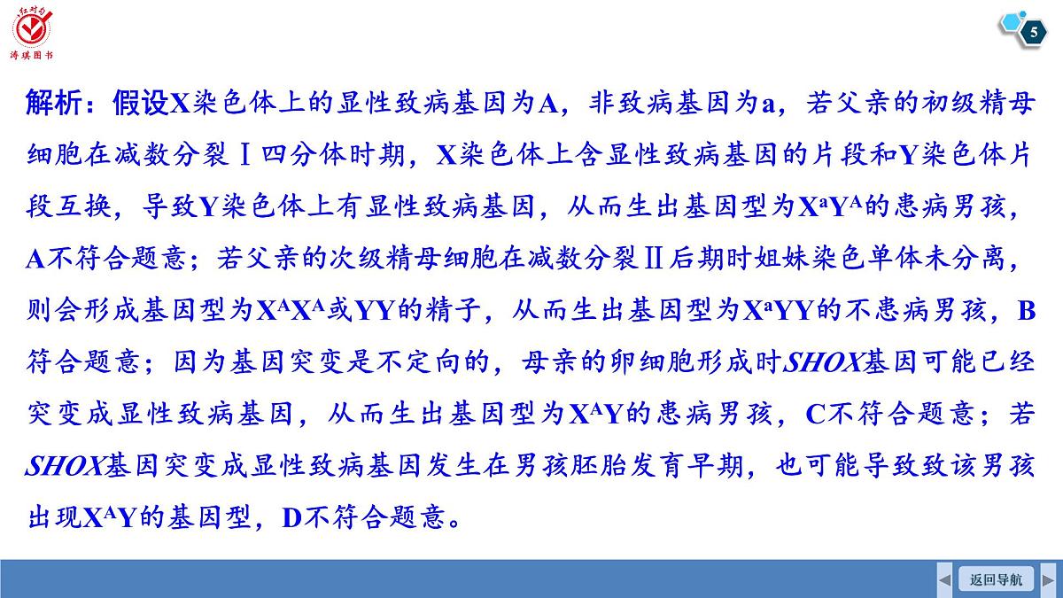 高考生物【一轮复习】课件 第四单元 微专题二 减数分裂与可遗传变异的关系第5页
