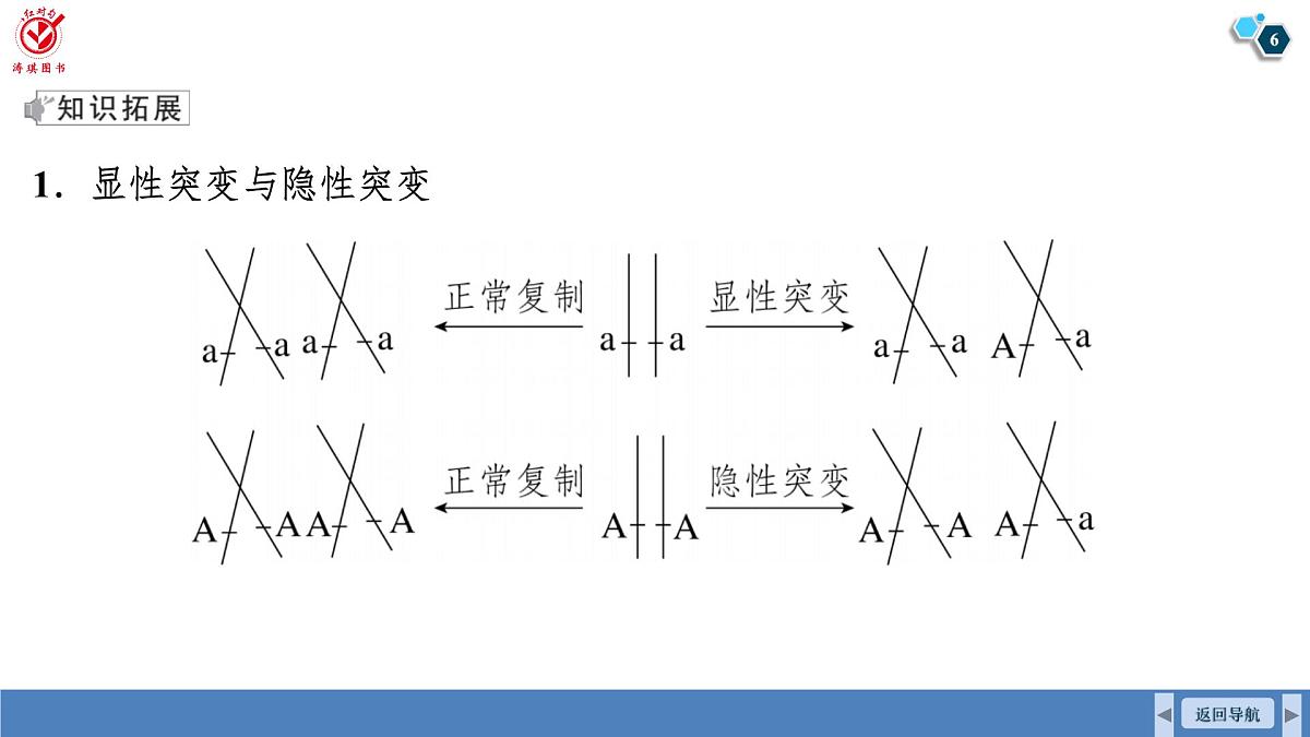 高考生物【一轮复习】课件 第四单元 微专题二 减数分裂与可遗传变异的关系第6页