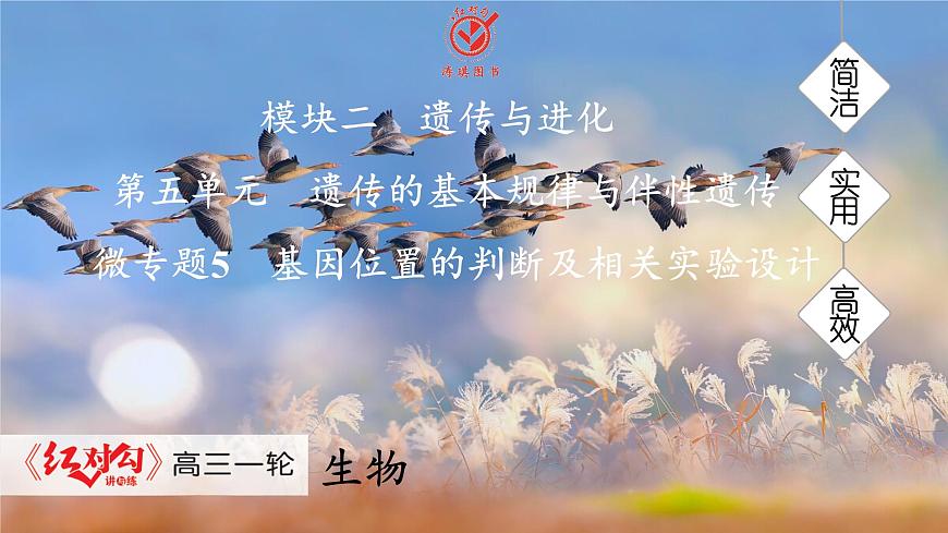 高考生物【一輪復(fù)習(xí)】課件　第五單元　微專題五　基因位置的判斷及相關(guān)實(shí)驗(yàn)設(shè)計(jì)第1頁(yè)