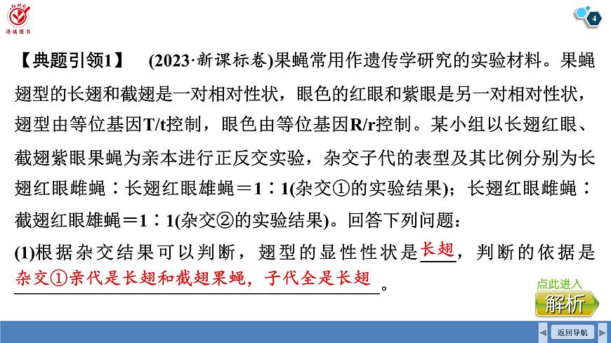 高考生物【一輪復(fù)習(xí)】課件 第五單元 微專題五 基因位置的判斷及相關(guān)實(shí)驗(yàn)設(shè)計(jì)第4頁(yè)