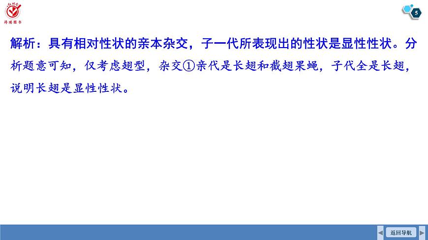 高考生物【一輪復(fù)習(xí)】課件　第五單元　微專題五　基因位置的判斷及相關(guān)實(shí)驗(yàn)設(shè)計(jì)第5頁(yè)