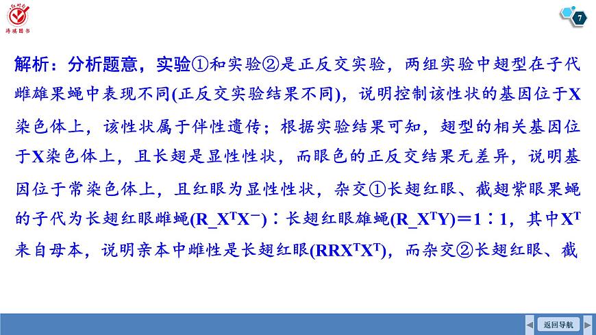 高考生物【一輪復(fù)習(xí)】課件　第五單元　微專題五　基因位置的判斷及相關(guān)實(shí)驗(yàn)設(shè)計(jì)第7頁(yè)
