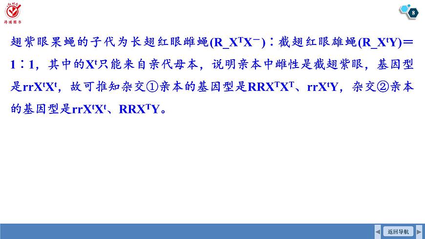 高考生物【一輪復(fù)習(xí)】課件　第五單元　微專題五　基因位置的判斷及相關(guān)實(shí)驗(yàn)設(shè)計(jì)第8頁(yè)