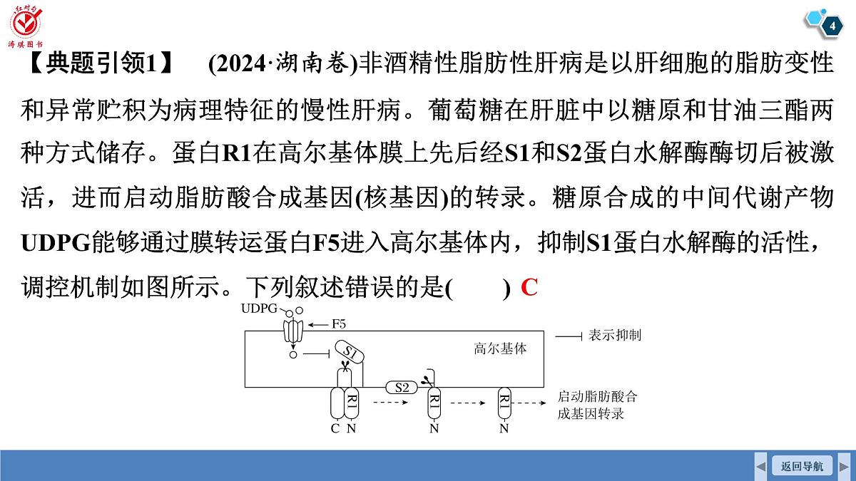 高考生物【一轮复习】课件 第六单元 命题情境4 基因表达的调控、表观遗传第4页