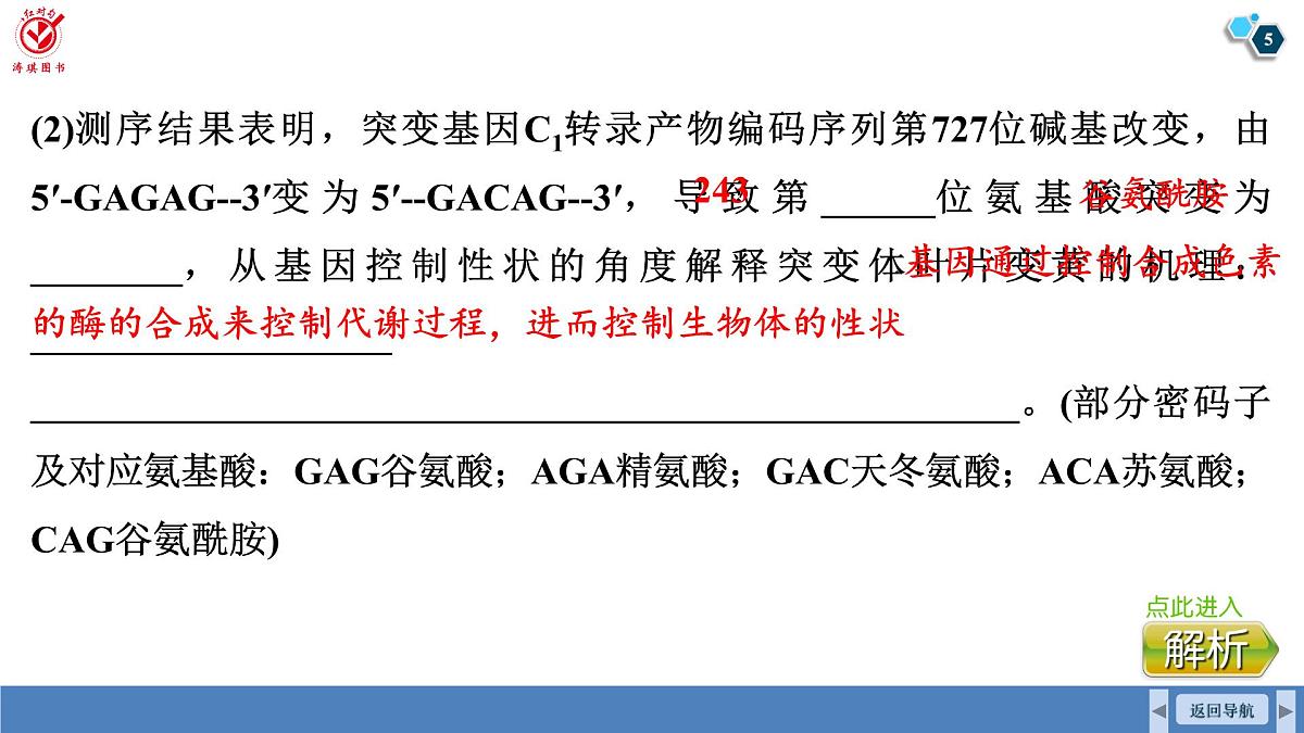 高考生物【一轮复习】课件 第七单元 微专题六 利用“假说—演绎法”解决生物变异实验探究题第5页