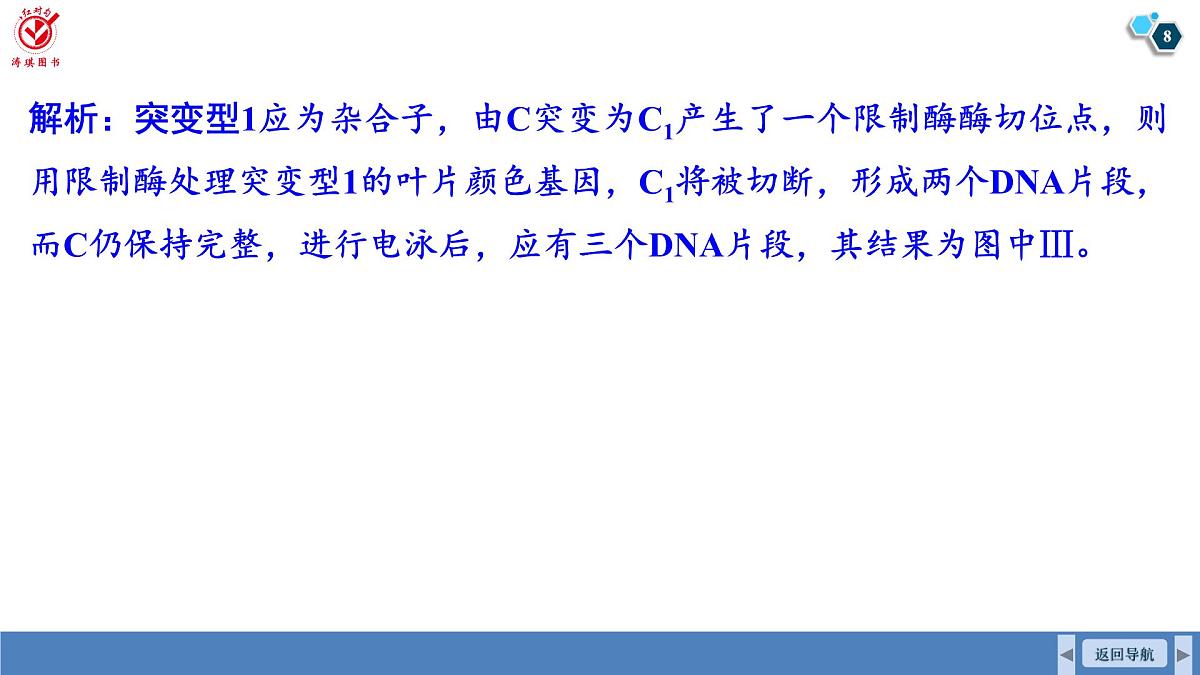 高考生物【一轮复习】课件 第七单元 微专题六 利用“假说—演绎法”解决生物变异实验探究题第8页