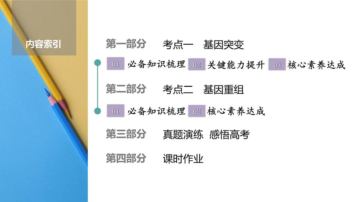 高考生物【一轮复习】课件 第七单元 第三十课时 基因突变和基因重组第2页