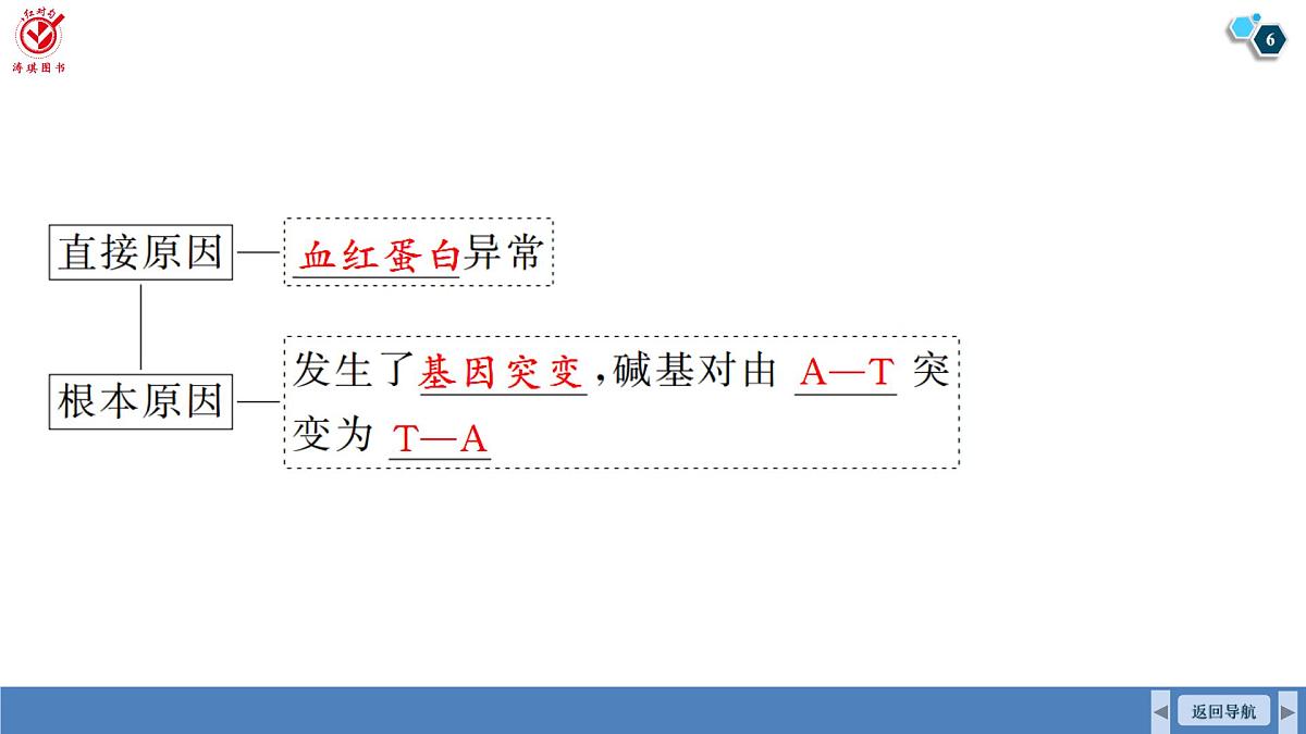 高考生物【一轮复习】课件 第七单元 第三十课时 基因突变和基因重组第6页