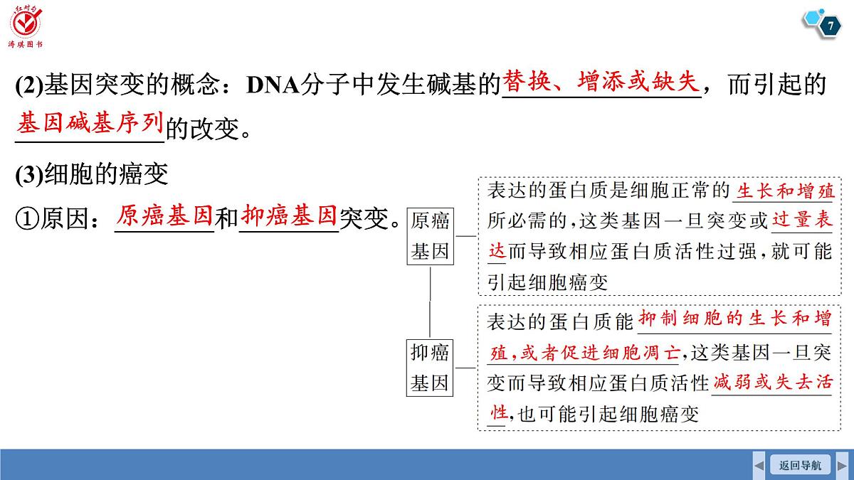 高考生物【一轮复习】课件 第七单元 第三十课时 基因突变和基因重组第7页
