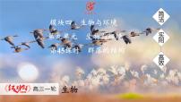 高考生物【一轮复习】课件　第九单元　第45课时　群落的结构
