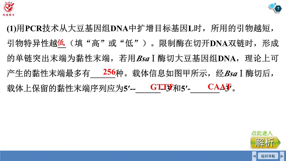 高考生物【一轮复习】课件 第十单元 命题情境7 PCR及电泳第7页