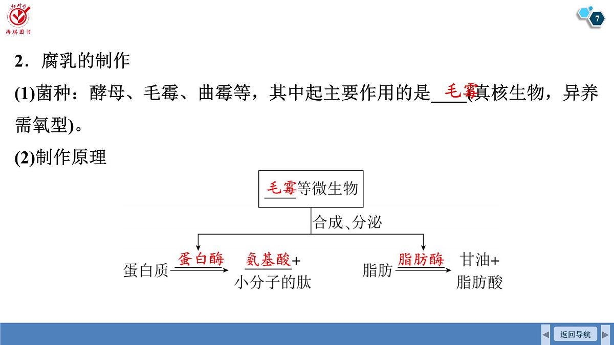 高考生物【一轮复习】课件 第十单元 第50课时 传统发酵技术的应用、发酵工程及其应用第7页