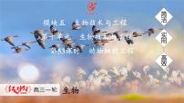 高考生物【一轮复习】课件 第十单元 第53课时 动物细胞工程