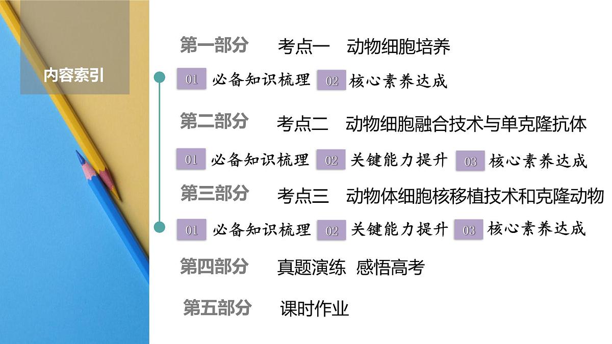 高考生物【一轮复习】课件 第十单元 第53课时 动物细胞工程第2页