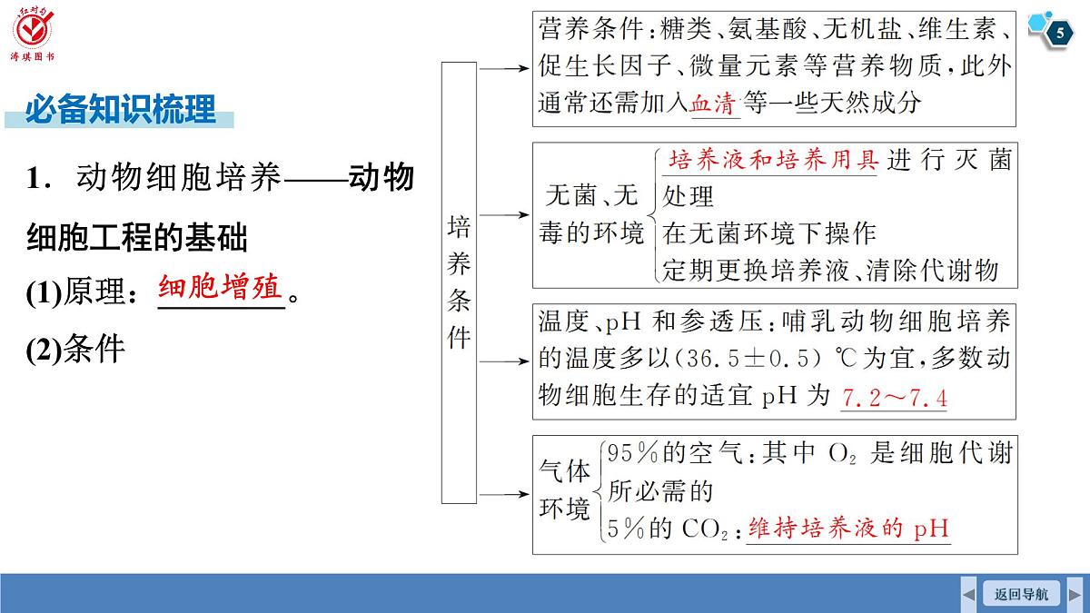 高考生物【一轮复习】课件 第十单元 第53课时 动物细胞工程第5页