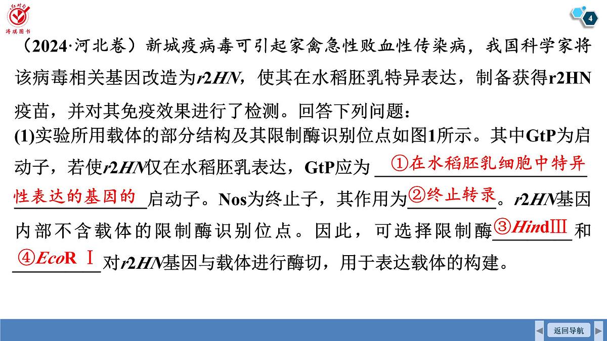 高考生物【一轮复习】课件 第十单元 长句表达(五) 生物技术与工程的概念、原理分析与应用第4页