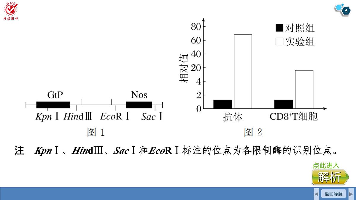高考生物【一轮复习】课件 第十单元 长句表达(五) 生物技术与工程的概念、原理分析与应用第5页